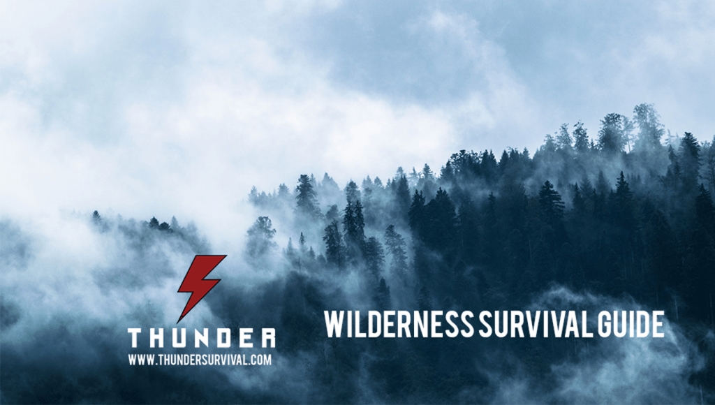 How to Survive in the wilderness