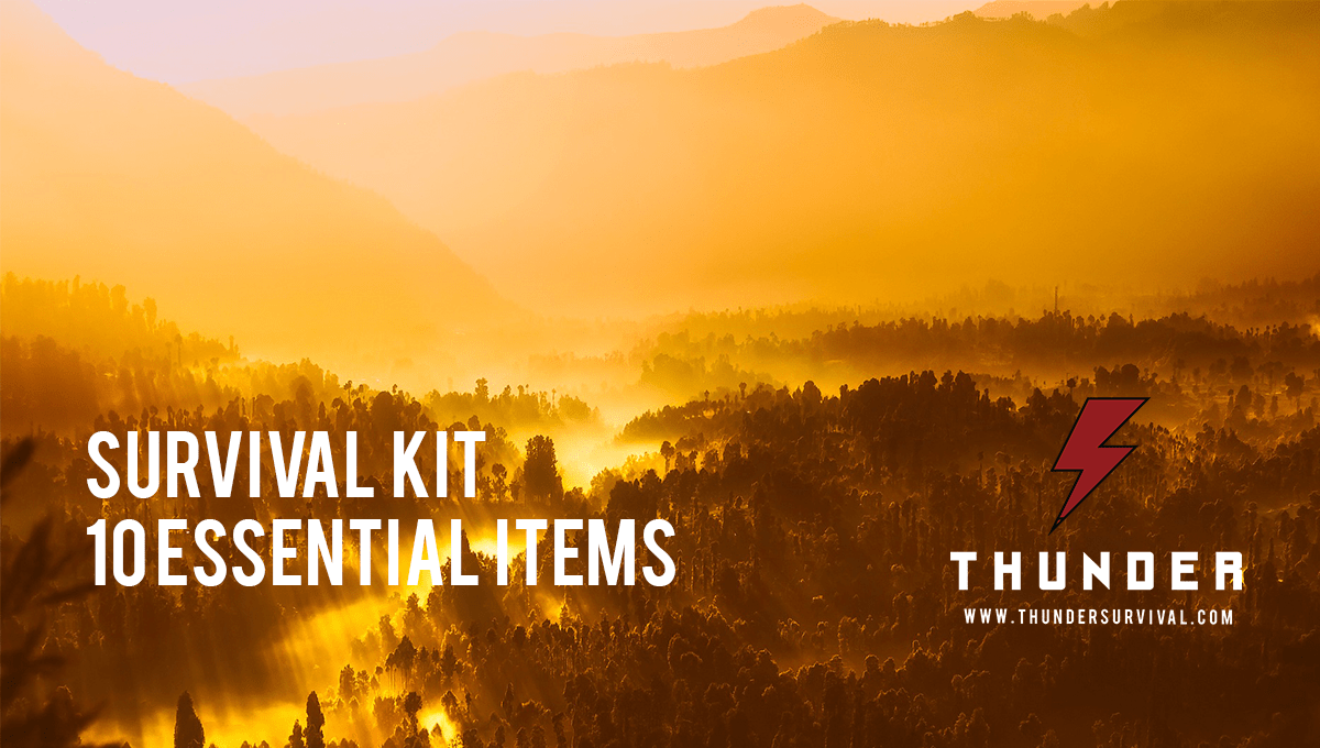 Survival kit essential items